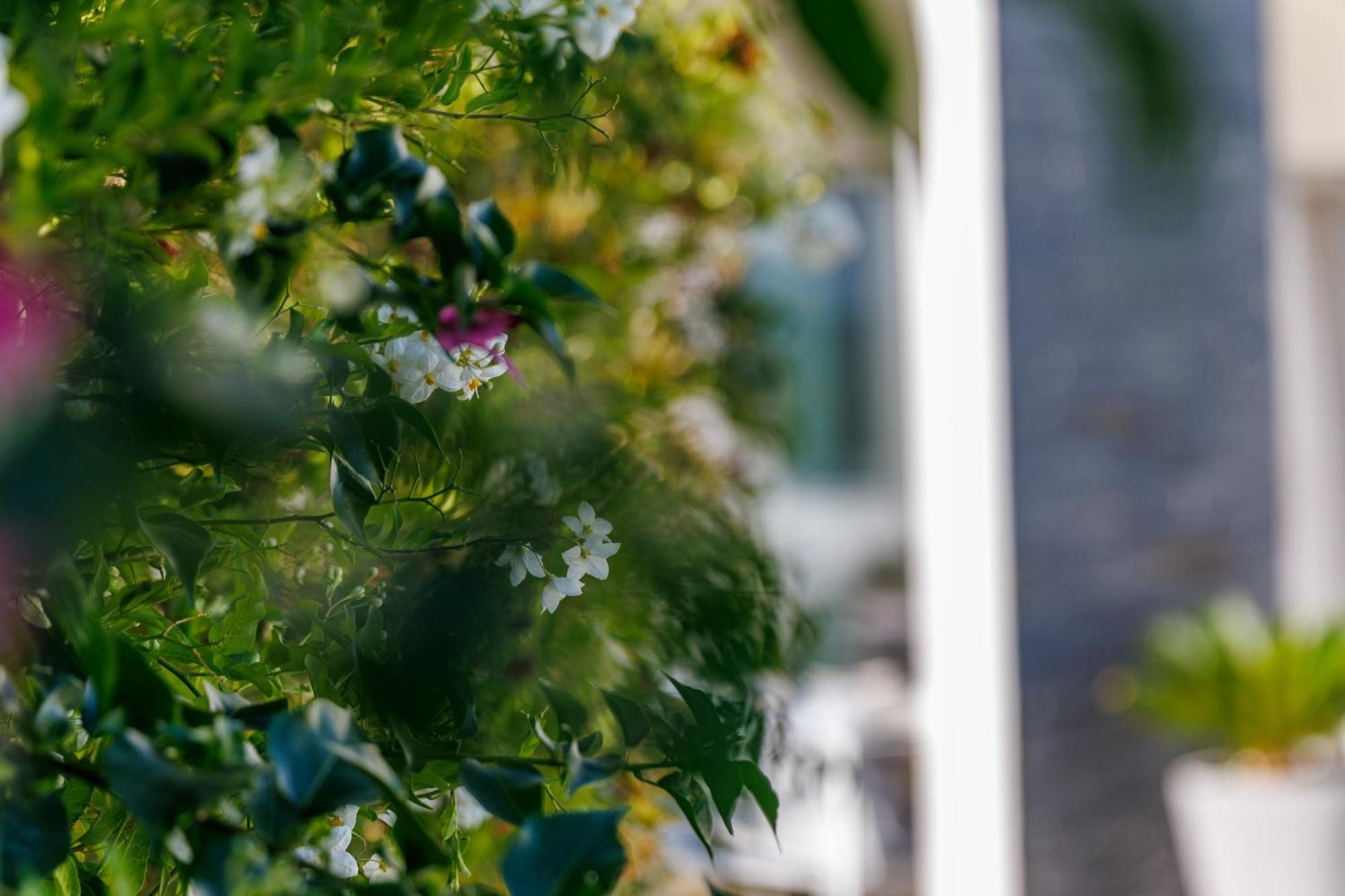 Holiday Home Ventum Sibenik Luaran gambar